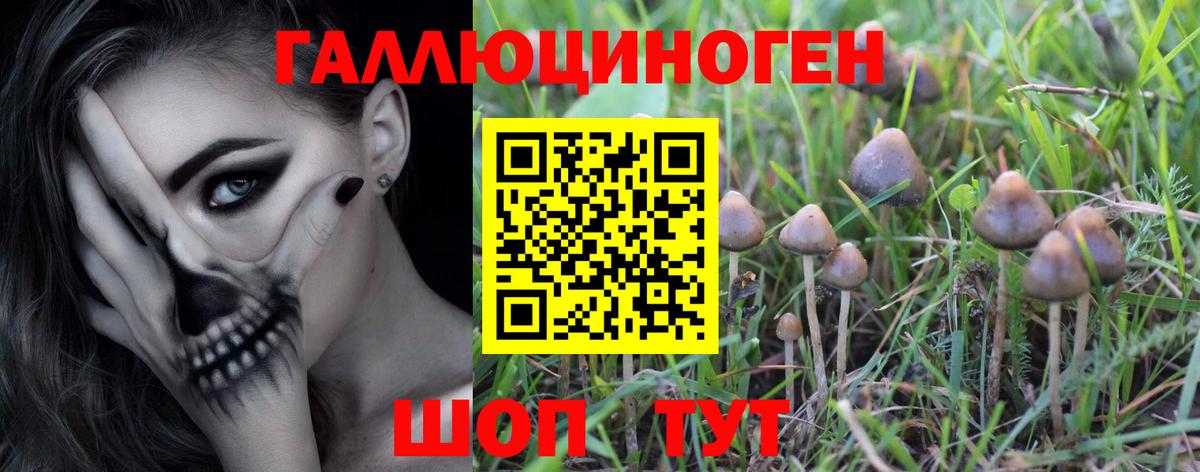 Ульяновск  Псилоцибиновые грибы мицелий  купить наркотики цена  Псилоцибиновые грибы Cubensis  Вход с VPN 